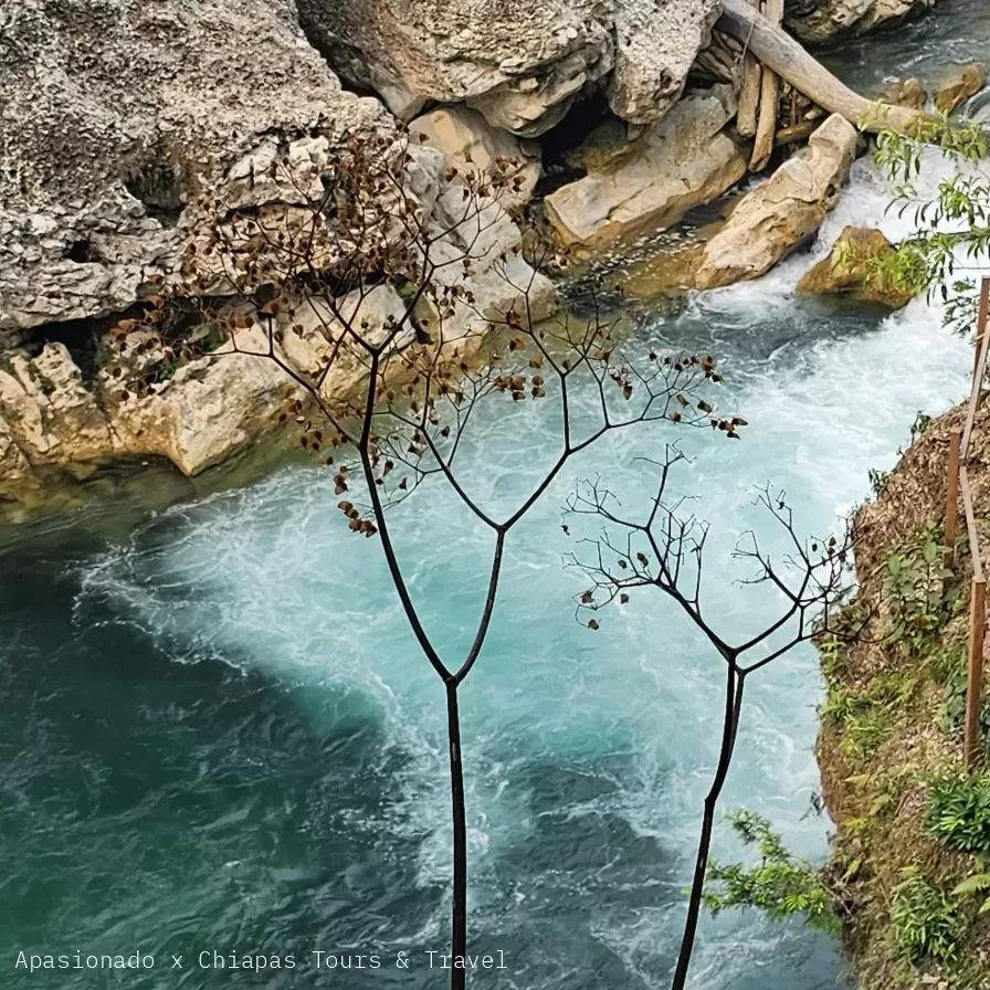 Aventura Natural: Descubre la Magia de la Cascada Xanil