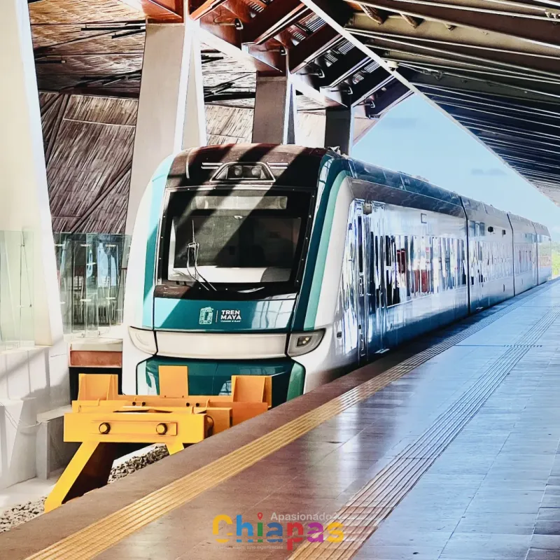 Traslado Estación del Tren Maya Palenque