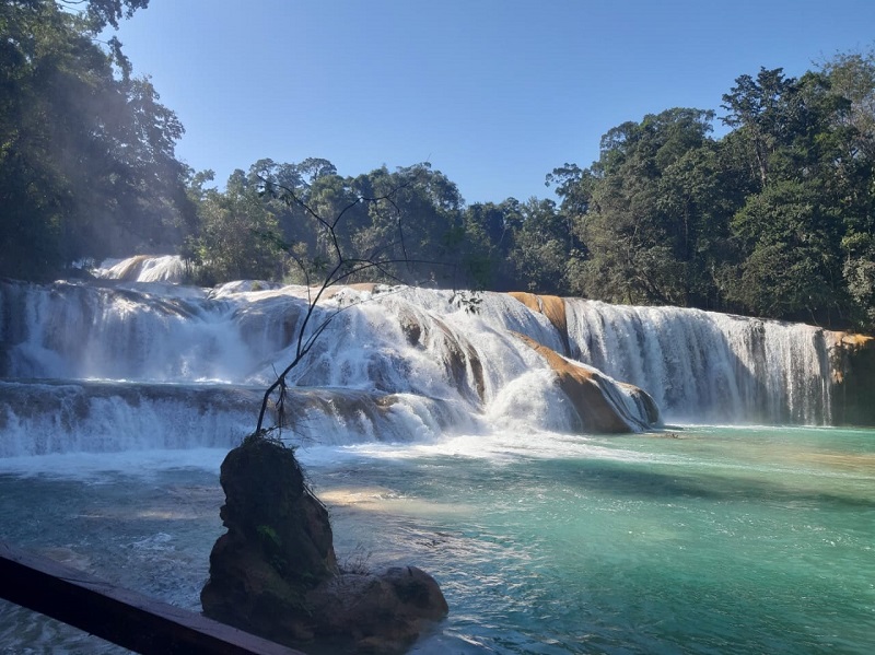 Un Blog sobre Chiapas agua azul