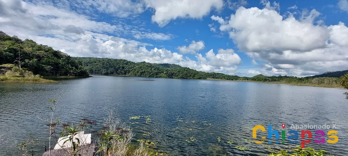 Conectate con la naturaleza en la selva lacanadona Lago Naha