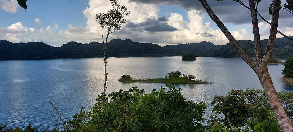 Laguna Guinea: Explorando la biodiversidad de Chiapas