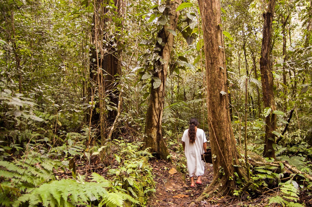 Bonampak - Corcho Negro y Caminata en la Selva Lacandona