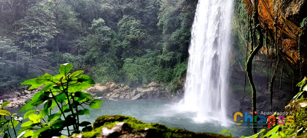 cascada de misol-ha por san cristobal