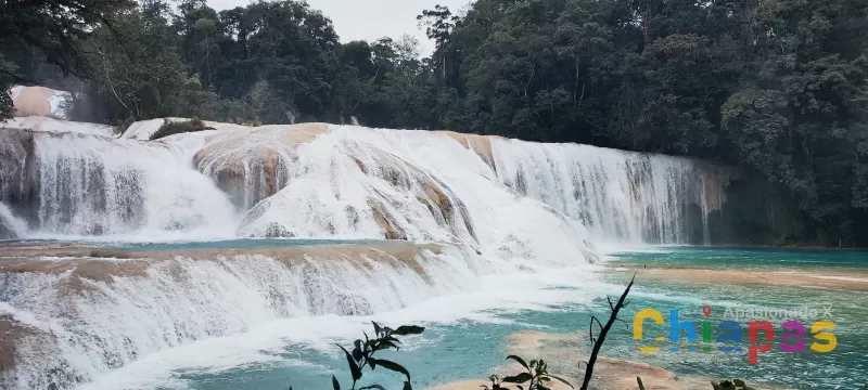 Qué Hacer en las Cascadas de Agua Azul: Rutas de Senderismo y Actividades