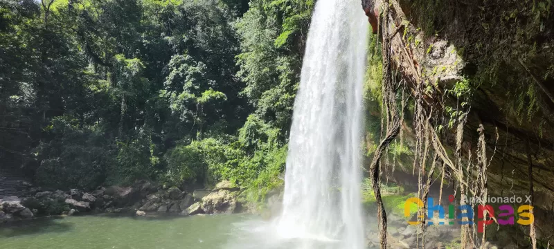 Cascada Misol-Ha en Chiapas: Qué Ver y Hacer en tu Visita