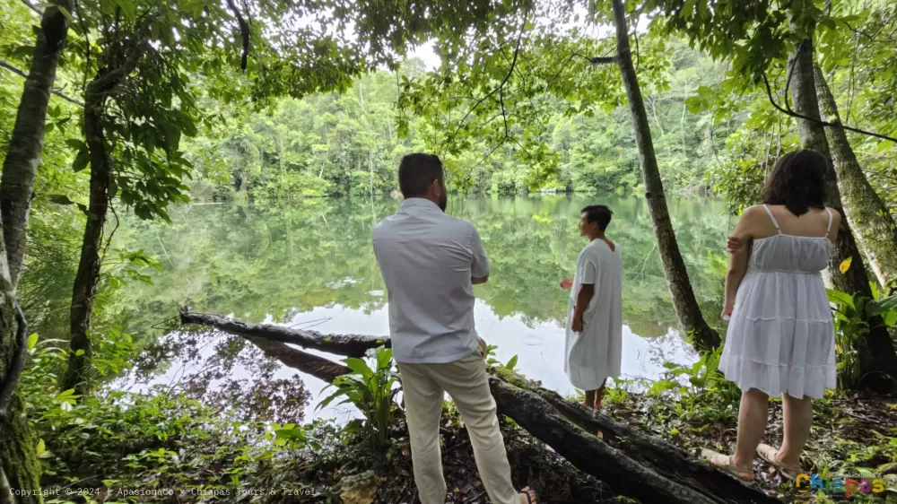 Todo sobre la Selva Lacandona