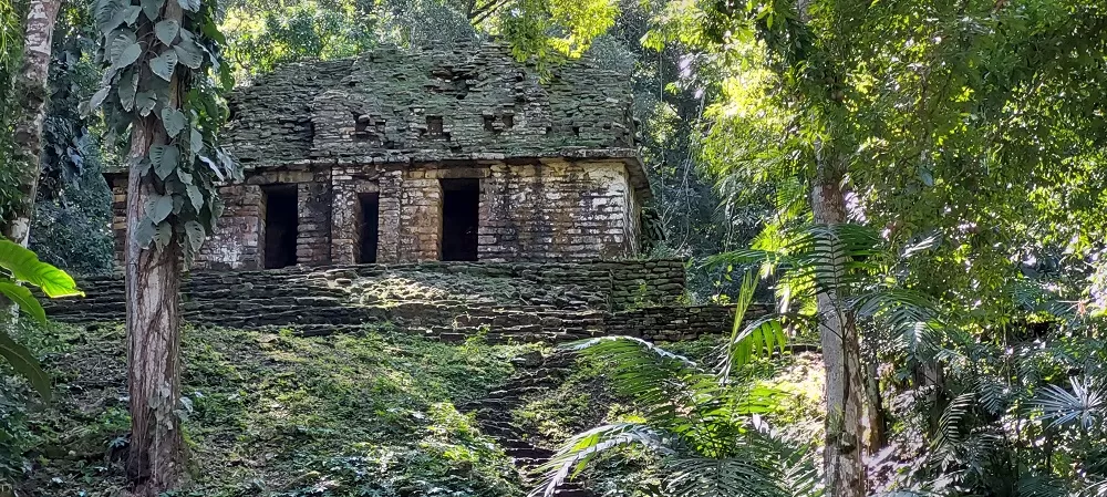 Bonampak en 360 grados: Una inmersión completa en su historia