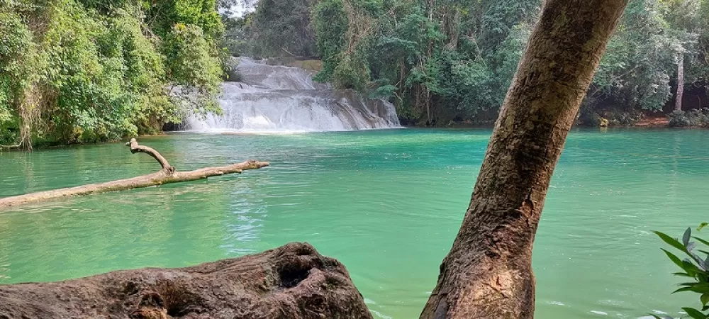 Reserva natural y cultural en Cascada de Roberto Barrios