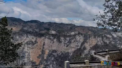 Chiapas salvaje: Descubre la fauna y flora del Cañón del Sumidero