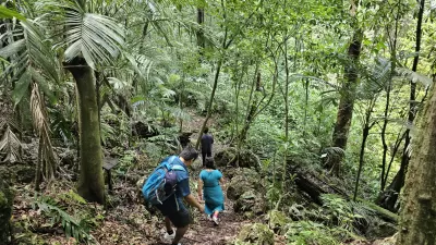 Guía Completa para Visitar la Laguna Metzabok