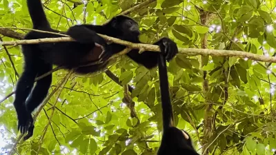 Centro Eco turístico Cascadas Welib Hå